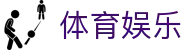 体育娱乐新升级：世界杯竞猜平台深度解析报告